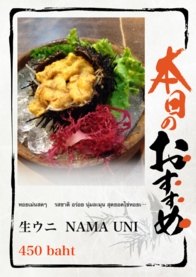 生ウニ  NAMA UNI