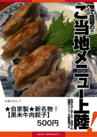 ★自家製★新名物❗️
【黒米牛肉餃子】